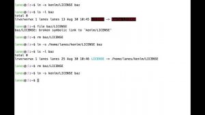 Linux Command Line for Beginners | Bash Terminal | Linux Terminal