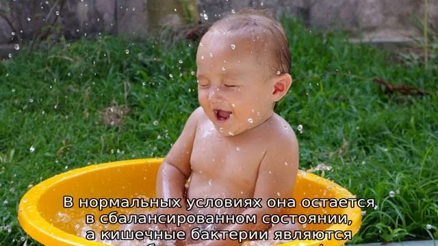 Энтерококки в кале у грудничка — причины повышения смотреть онлайн