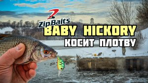 ПЛОТВА СОШЛА С УМА и клюёт на воблеры | Как ловить на ZipBaits Baby Hickory зимой