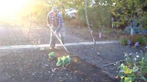 Как подготовить ГРЯДКУ для посадки ОЗИМОГО ЧЕСНОКА