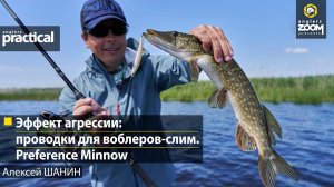 Эффект агрессии_ проводки для воблеров-слим. Preference Minnow. Алексей Шанин . Anglers Practical