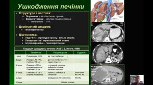 Лекция для студентов 5 курса мед.факультета. Повреждения живота и таза. проф. В.Д.Шейко