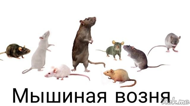 Ржачные приколы