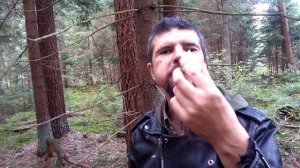 Пожирание мухомора в Ѣжѣрелисском лесу