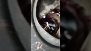 Замена лампочки ближнего света на Рено Меган 2
