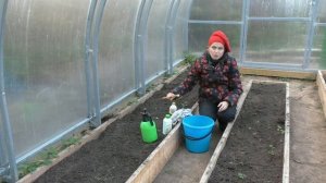 Помыть теплицу нужно обязательно! Но как?