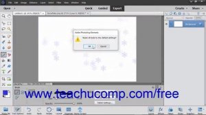 Photoshop Elements 2019 Tutotial Resetting Brush and Tool Settings Adobe Training