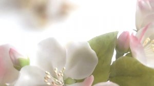 Necklace and bracelet with apple blossom | Cold porcelain flowers