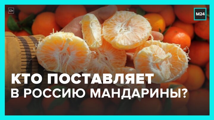 Россиянам рассказали об иностранных поставщиках мандаринов - Москва 24