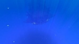 The Bloop in Subnautica Below Zero