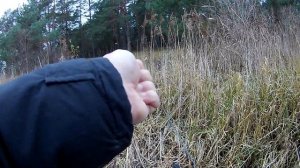 Рыбалка на слаги с алиэкспресс ?  Окунь на отводной поводок