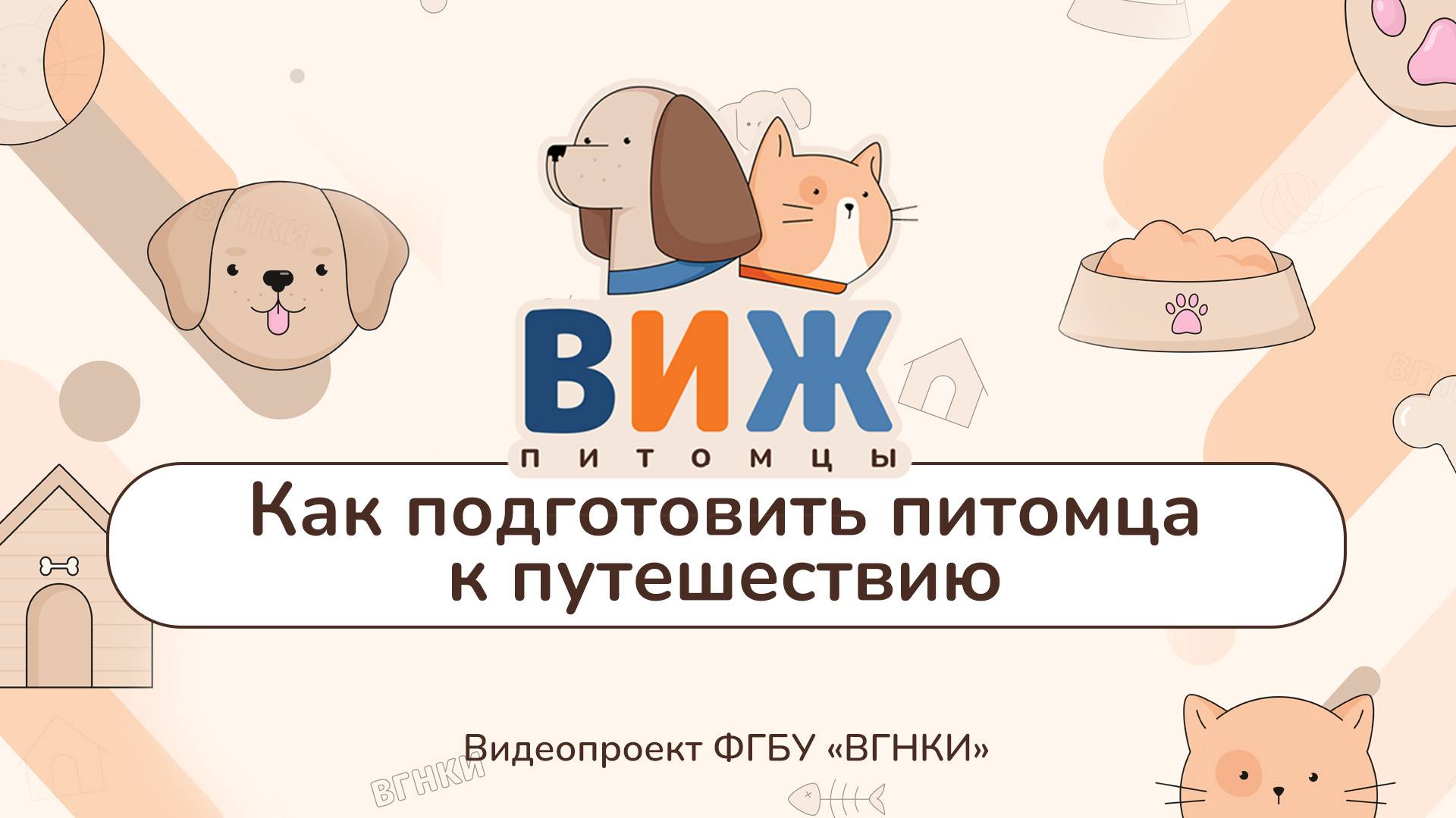 «ВИЖ Питомцы» - Как подготовить питомца к путешествию