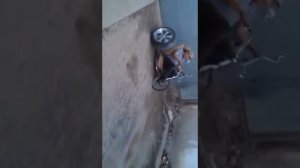 #веломобиль велотрайк казахстан