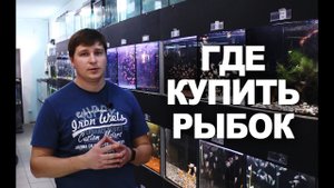 Где купить рыбок
