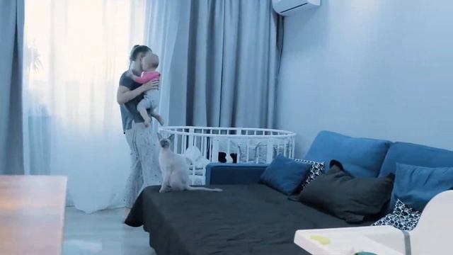 Как экологично выбрасывать подгузники!