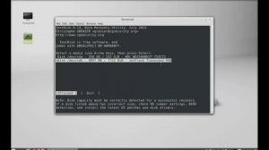 TestDisk - Partition Scanner & Data Recovery Utility for Linux Mint (Ubuntu)