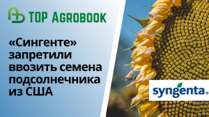 «Сингенте» запретили ввозить семена подсолнечника из США. TOP Agrobook: обзор аграрных новостей