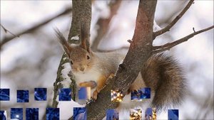 А ЗА ОКНОМ ПАДАЕТ СНЕГ _ Дмитрий Воробьев _ композитор Андрей Обидин _ слова Валерий Гурков