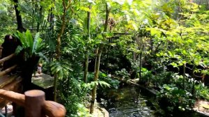 MALAYSIA KUALA-LUMPUR, ZOO NEGARA Sunway Pyramid Hotel, КУАЛА ЛУМПУР, ЗООПАРК НЕГАРА, МАЛАЙЗИЯ