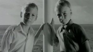 Black Wonderfuil life