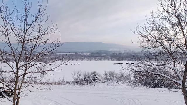 Зимнее утро