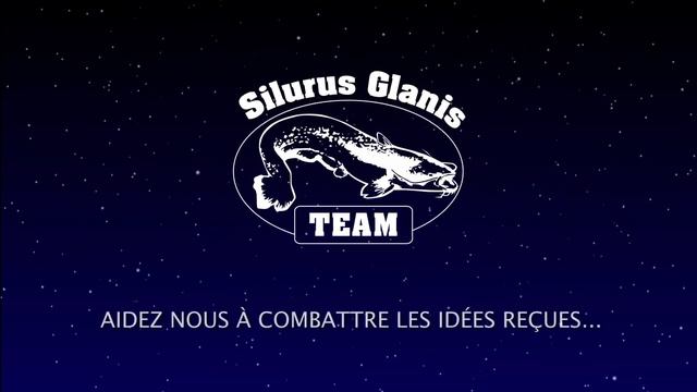 SILURUS GLANIS MONTLUÇON 2012 PREVIEW смотреть онлайн