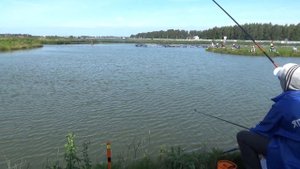 Красота херабуны