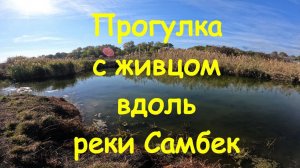 Река Самбек. Ловля щуки на живца.