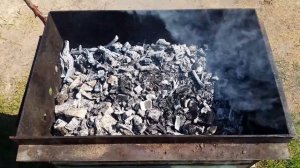 Готовим дорадо запеченную на углях