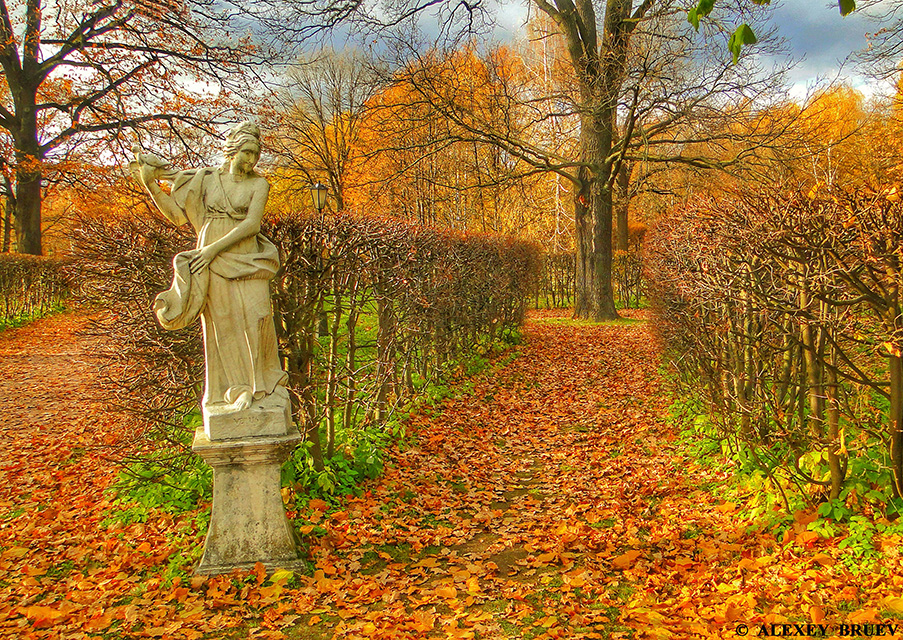 Осенний парк Кусково