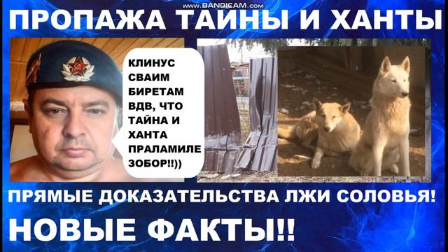 ▶️ Исчезновение лаек Тайны и Ханты ▶️ Лайки Соловьева Ю.В. ▶️ Новые доказательства▶️