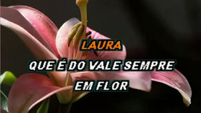 ALTEMAR DUTRA LAURA SOL KARAOKE CDG смотреть онлайн