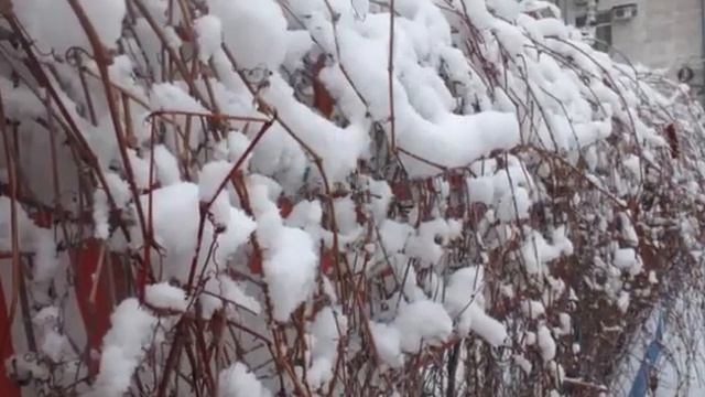 Зимняя сказка в марте смотреть онлайн