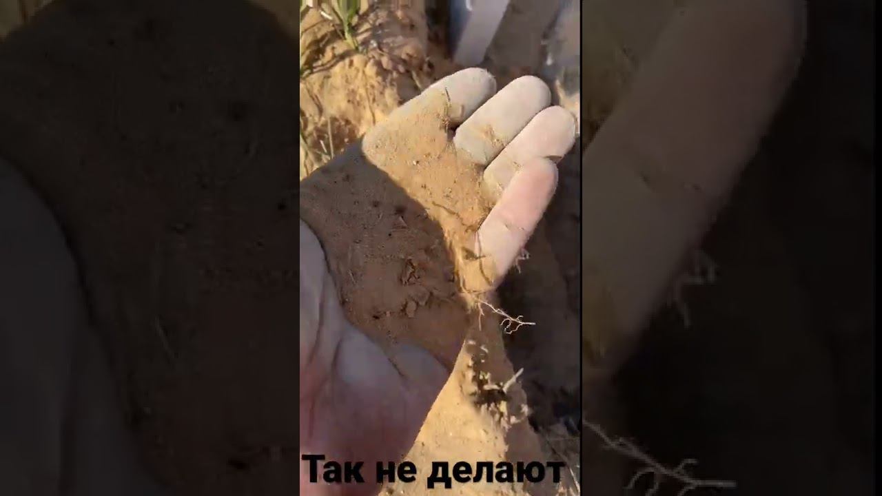 Что происходит когда попадаешь на залипушников! смотреть онлайн