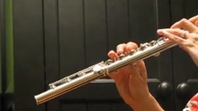Muramatsu DN Used Flutes Mid to High Register Demo смотреть онлайн