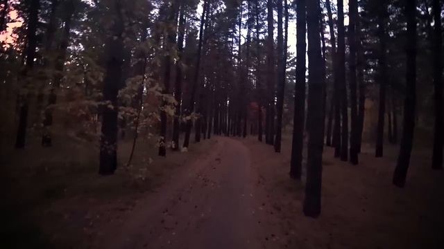 ТОП ИСТОРИЙ ПОДПИСЧИКА. Страшилки на ночь. Хоррор. Про деревню. Крипипаста смотреть онлайн