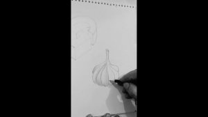 3d G and sketch garlic