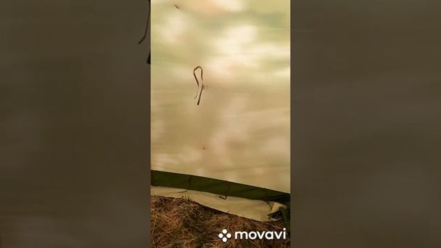 Палатка Роснар Р-34 смотреть онлайн