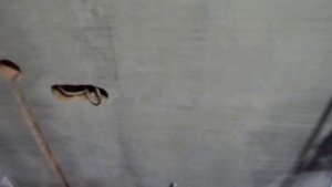 Методы  измерения   прочности штукатурки