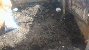 Посадка картофеля рядами.Как мы достигаем хороших урожаев