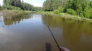 #022 #Мормышинг & Безмотылка  Ручьевая плотва