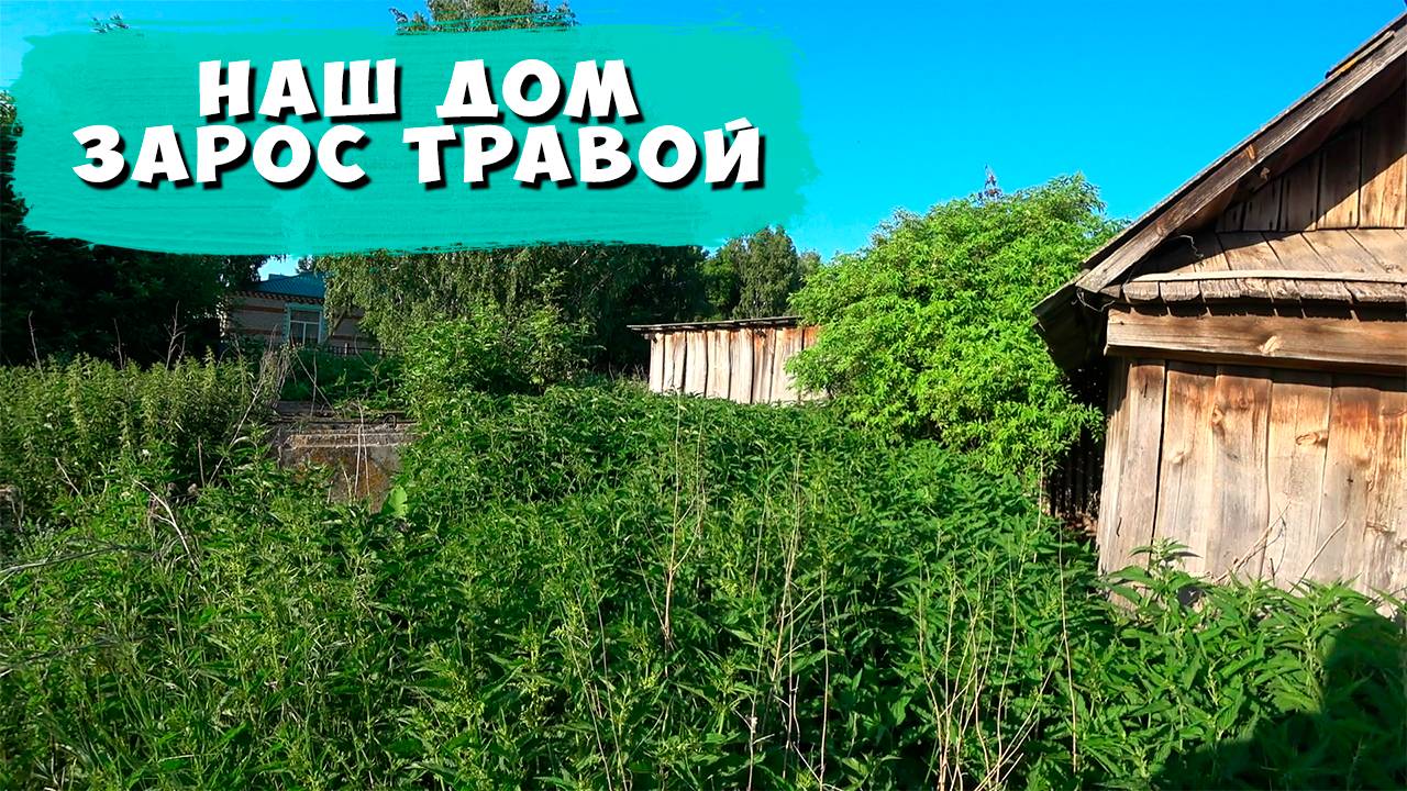 Дом зарос травой, кошу траву вокруг дома #домвдеревне #diy