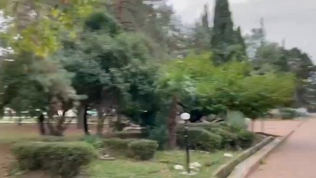 Адлер встречаем папу. Курортный городок. Отель Олимпия. Пляж Причал. смотреть онлайн