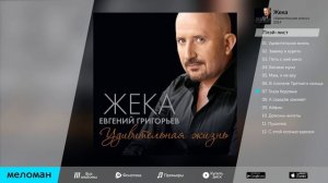 ЖЕКА   УДИВИТЕЛЬНАЯ ЖИЗНЬ   ZHEKA  UDIVITEL'NAYA ZHIZN'