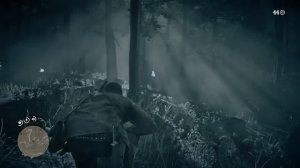 Черный Медведь | Red Dead Redemption 2. (На PS4)
