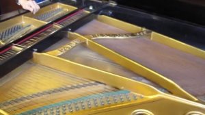 Обзор венский механики / механика венская 4