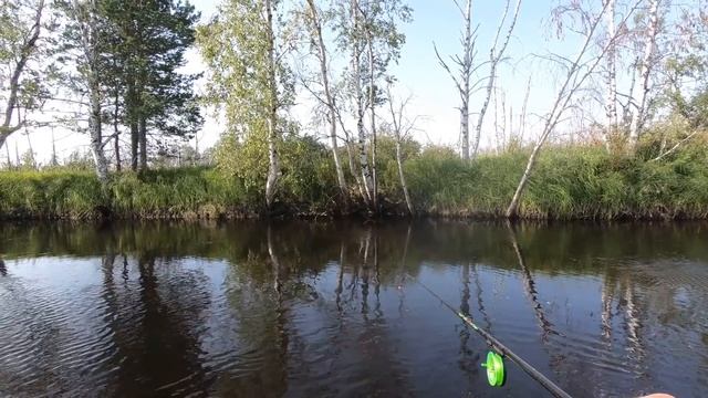 РЫБАЛКА В ДЕБРЯХ НА ТАЁЖНОЙ РЕЧКЕ ГДЕ НЕ СТУПАЛА НОГА РЫБАКА! ОЧЕНЬ КРАСИВОЕ КЛЁВОЕ МЕСТО!!! смотреть онлайн