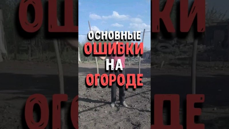 Борьба с болями в спине при работе на огороде.