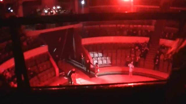 5 Одесский цирк! смотреть онлайн