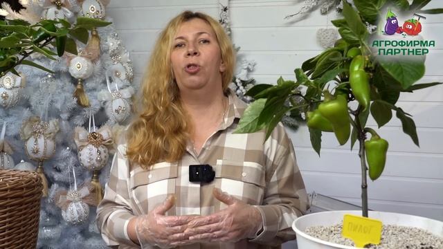 11 классных сортов для зимнего огорода и самого раннего урожая| #зимнийогород #семенапартнер #огоро